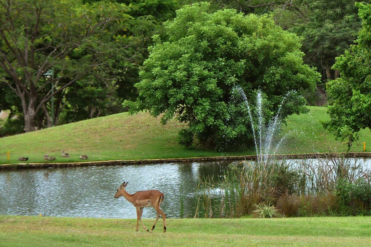 Kruger Park Lodge Unit No. 543 Hazyview Dış mekan fotoğraf